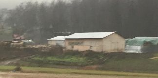 Construcții ridicate fără autorizație pe islazul comunei Ruginești așteaptă să fie demolate de mai bine de un an