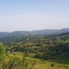 vintileasca