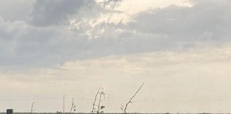 Grindina de ieri a afectat grav 300 ha de viță-de-vie/ Controverse legate de eficiența și necesitatea sistemului antigrindină