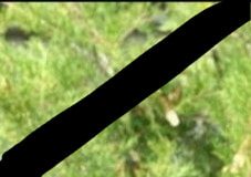 Multe mesaje îndurerate pe rețelele de socializare după moartea fulgerătoare a asistentului medical