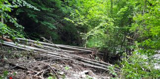 Traseul turistic din Rezervația Cheile Tișiței rămâne închis din cauza distrugerilor provocate de viituri și alunecări de teren