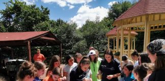 Polițiștii vrânceni, în mijlocul elevilor de la Păunești și dintr-o tabără privată