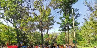 Activități de vacanță în Crângul Petrești, cu polițiști, copii și bibliotecari