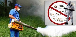 Dezinsecție în Crângul Petrești, pe timp de noapte