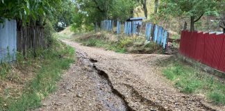 FOTO-VIDEO Pod înfundat și drumuri locale afectate de ploaia torențială în Păunești