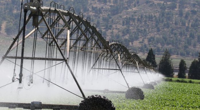 Ministerul Agriculturii achită deconturile pentru energia utilizată la irigații