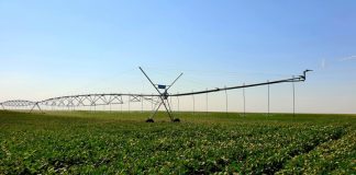 Bani de la Guvern pentru refacerea și modernizarea sistemelor de irigații/ HG cuprinde mai multe obiective din Vrancea