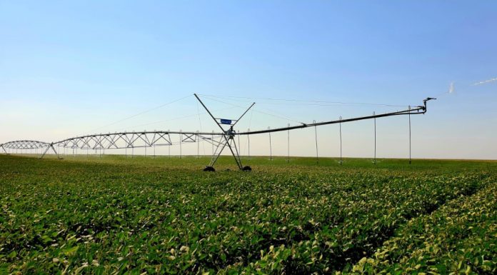 Decontarea energiei pentru irigații, extinsă de Guvern până la 31 mai