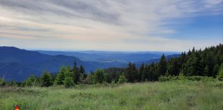 Starea actuală a traseelor turistice din Munții Vrancei