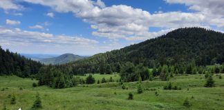 Vârful Furu Mare, un obiectiv de atins pentru iubitorii de drumeție