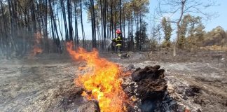 FOTO VIDEO Pompierii români sting incendii, în condiții extreme, în Franța