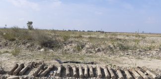 Proiectile din timpul războiului, asanate de pirotehniștii ISU Vrancea la Țifești