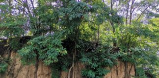 FOTO Sit arheologic din paleolitic, descoperit în Vrancea