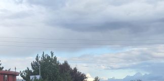 Trei polițiști au fost răniți în accidentul de pe Șoseaua Vrancei