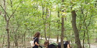 FOTO Peste 4.300 de voluntari din Vrancea au participat la acțiuni de ecologizare, săptămâna trecută, în cadrul ”Let`s Do It, România!”