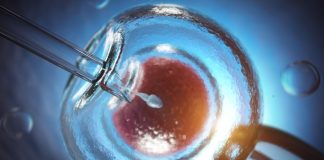 Guvernul a aprobat ajutorul de 15.000 lei pentru fiecare cuplu sau femeie singură pentru decontarea procedurilor de fertilizare in vitro