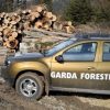 garda forestiera