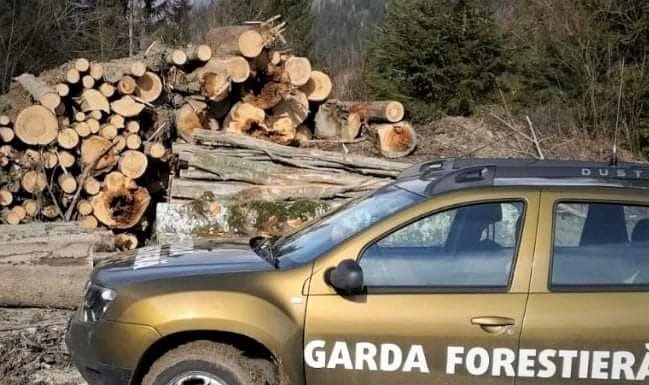 Autoturismele Gărzii Forestiere Focșani, sub sechestru