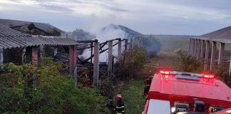 FOTO Incendiu provocat la o fostă fermă din satul Precistanu