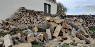 Guvernul discută azi proiectul privind plafonarea prețului lemnului de foc