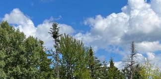 Centrul Cultural Vrancea a rămas fără director