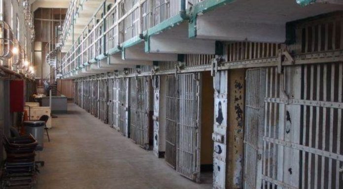 Vrâncean urmărit internațional, adus din Italia pentru executarea pedepsei