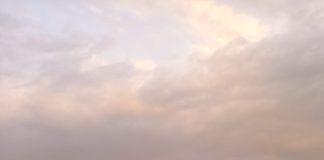 15 persoane au murit de la începutul anului în accidente produse în județ