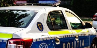 Două autoutilitare s-au izbit pe E85, în zona Mărășești