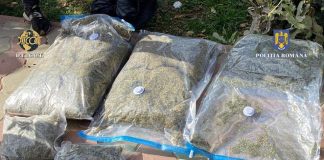 Vrãnceni reținuți pentru trafic de droguri de mare risc
