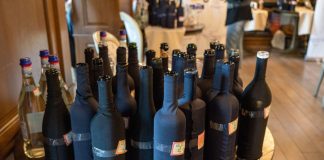 Vinurile cramelor vrâncene ”Pandora” și ”Tata și fiul”, medalii de aur la Premiile de excelență Vinul.ro