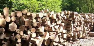 Ministerul Mediului, somat internațional pentru obstrucționarea jurnalistei Crina Boroș