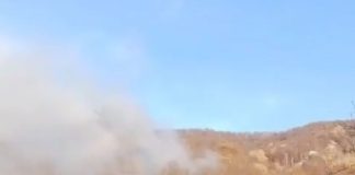 VIDEO Arde pădurea în satul Petreanu