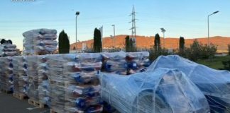 VIDEO Percheziții în București, Vrancea și alte 23 de județe într-un dosar de înșelăciune și fals