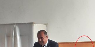 PSD, Halici și umbra lui Vulpe la Tănăsoaia