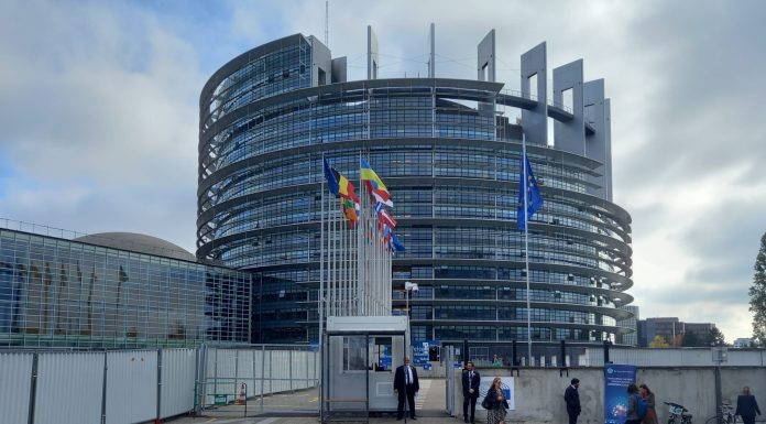 Parlamentul European a aprobat clauzele de salvgardare pentru a proteja agricultura UE în contextul acordului comercial cu statele din America de Sud