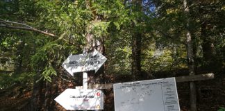 Salvamontiștii încearcă să salveze o persoană căzută în Cascada Păstaia