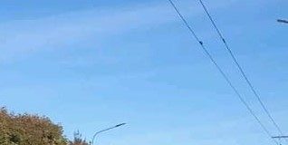 Claudia Prisecaru, pe podium la Campionatul Național de alergare pe șosea