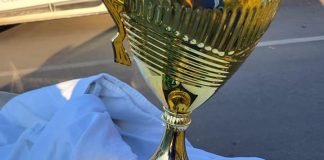 Daniel Fusaru și Irina Paraschiv, vicecampioni europeni la karate Wado Kai