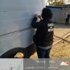 garda mediu