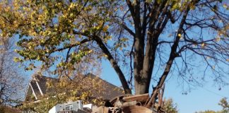 FOTO Controale ale Gărzii de Mediu la firmele de colectare deșeuri din Slobozia Bradului