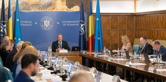 Ajutor financiar de la Guvern pentru firmele din morărit, uleiuri și lactate