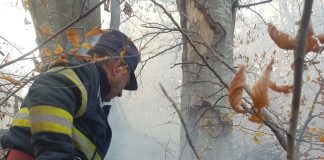 VIDEO Mobilizare a pompierilor militari și a forțelor locale pentru stingerea incendiului de pădure de la Dumitrești / 50 ha afectate