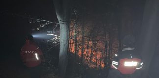 FOTO Incendiu de pădure la Dumitrești