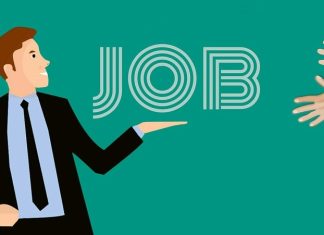 Ce joburi au căutat românii în 2025: șoferii sunt lideri de categorie, cu aproape 1,4 milioane de căutări în platformă. Joburile de contabil, asistent medical și operator call-center sunt următoarele plasate în lista de preferințe ale candidaților