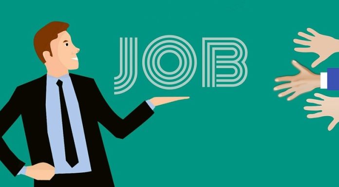 Comunicat de presă: IT, energie, construcții, farma, telecomunicații, imobiliare și consultanță sunt domeniile cu cele mai mari creșteri salariale în 2025