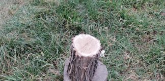 Proiectile de război, găsite pe un câmp de la marginea Focșaniului