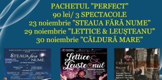 Promoția de noiembrie, la Teatrul Focșani: 3 spectacole la preț de unul