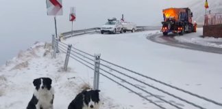 VIDEO-FOTO Iarnă pe Transfăgărășan