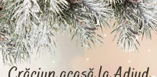 Concert caritabil, înainte de Crăciun, la Adjud, cu soprana Diana Alexe