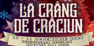 Premiu la Târgul de Crăciun din Crângul Petrești: o excursie la Disneyland Paris